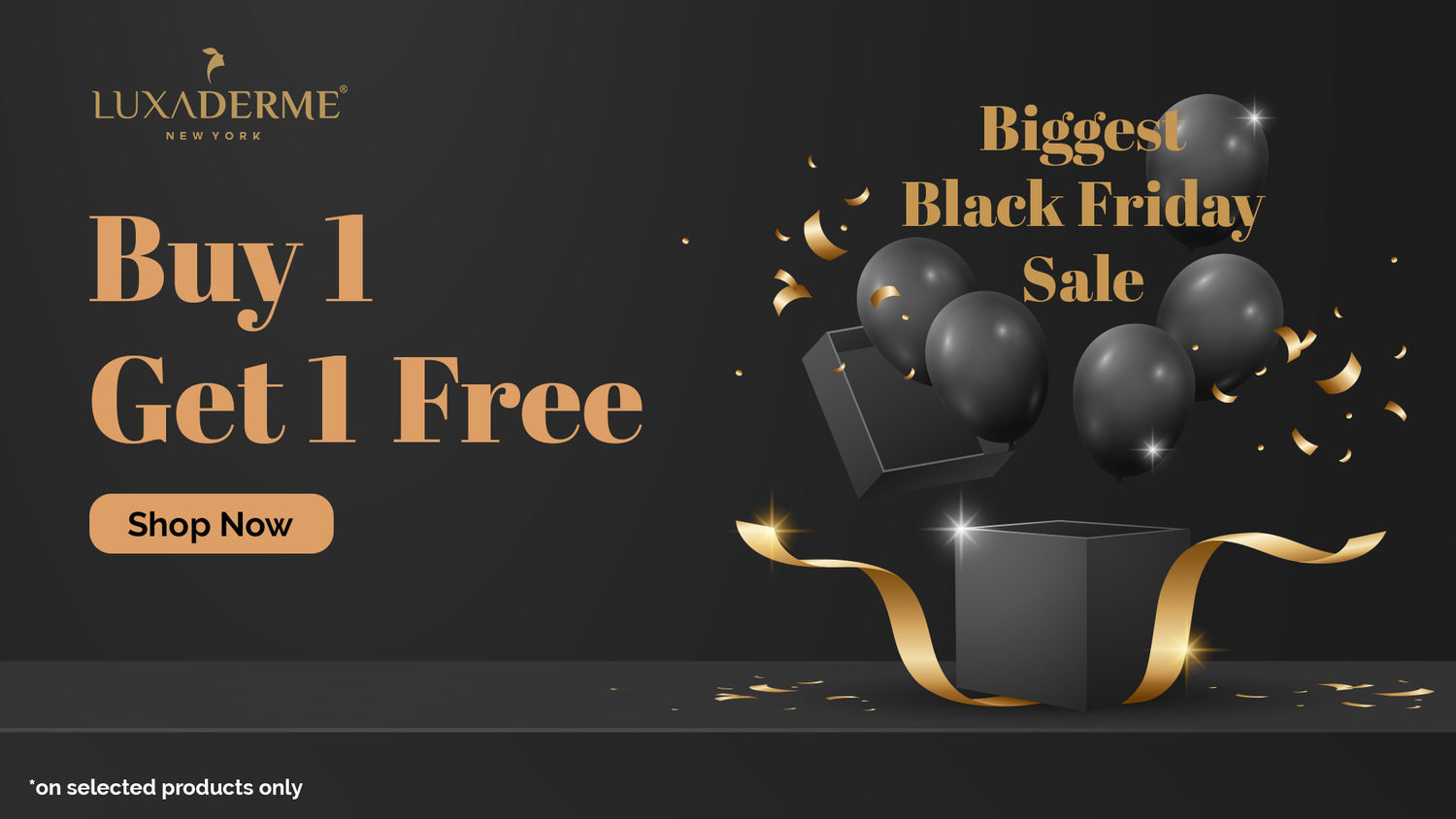 Black Friday Sale