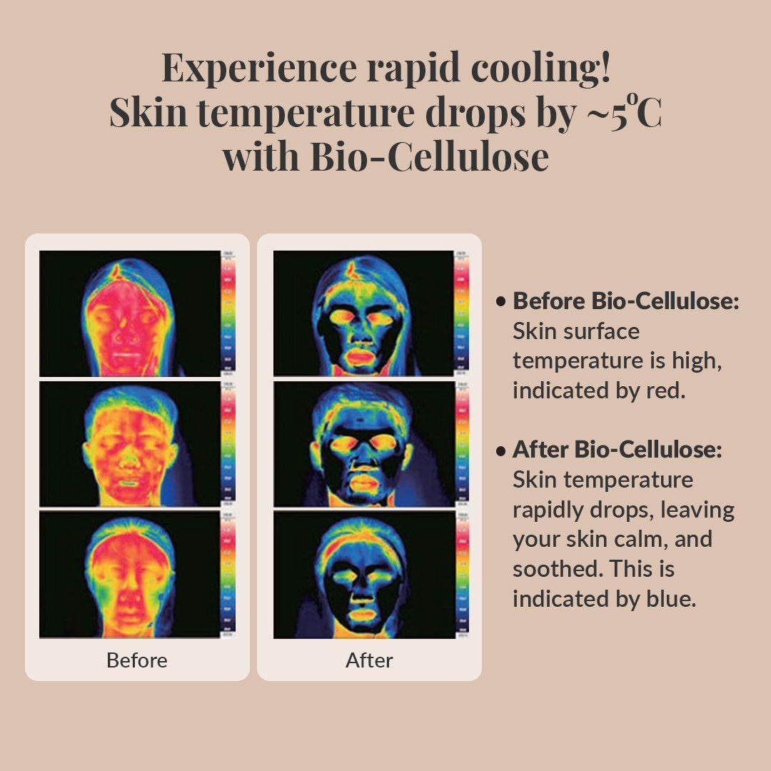 Detox Bio Cellulose Sheet Mask